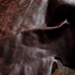  - zapopan, guadalajara