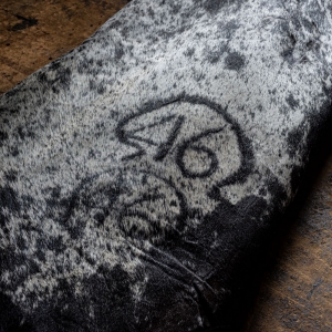  - jalisco,guadalajara